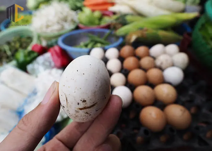 cách chọn mua trứng vịt lộn ngon